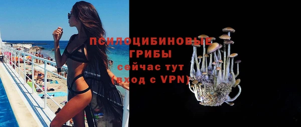 винт Няндома