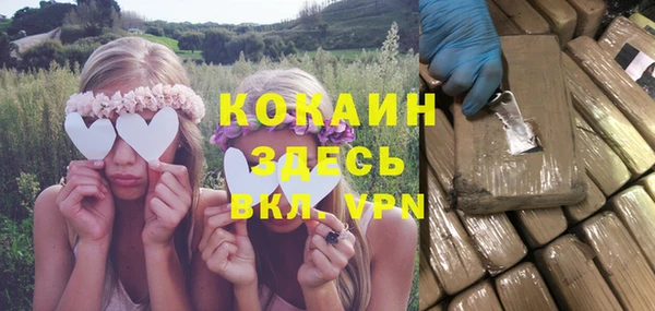 крисы Новодвинск