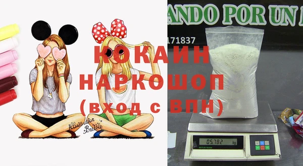 винт Няндома