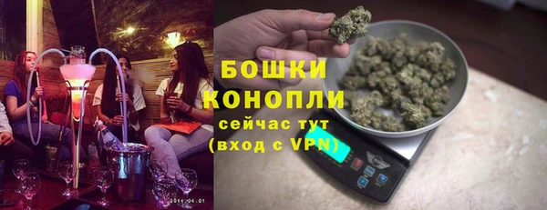 крисы Новодвинск