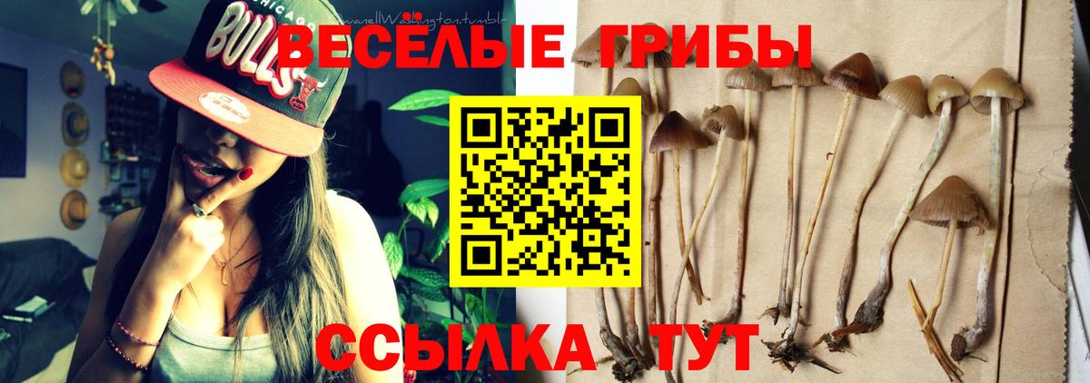 Псилоцибиновые грибы прущие грибы  Псилоцибиновые грибы мицелий  Нарьян-Мар 