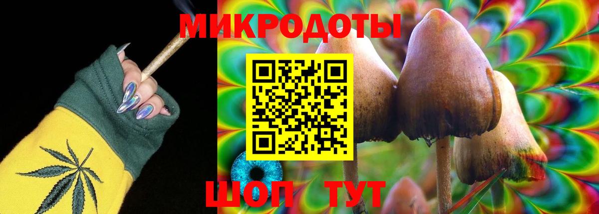 Псилоцибиновые грибы Psilocybe Нарьян-Мар